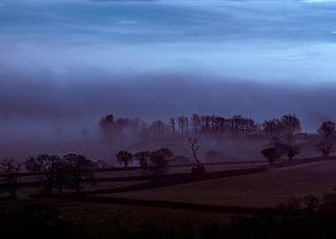 Devon Fog 31