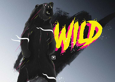 wild bear