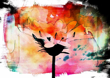 abstract gerbera daisy