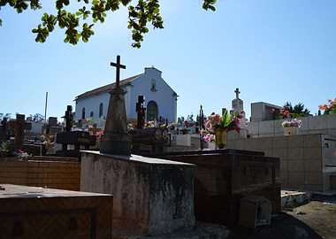 vivis rosa grata et grata sepulcris