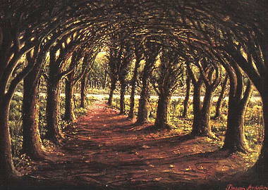 THE FOREST ROAD
