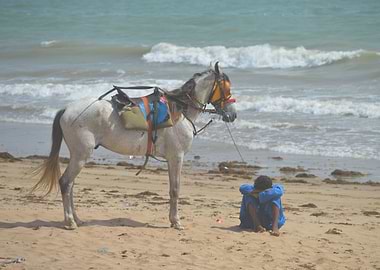 Turtle Beach Karachi