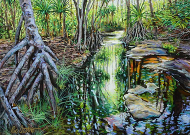 Tarzan Falls, Upper Stream