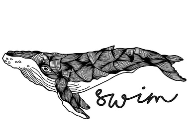 Humpback Whale | Swim swim swim