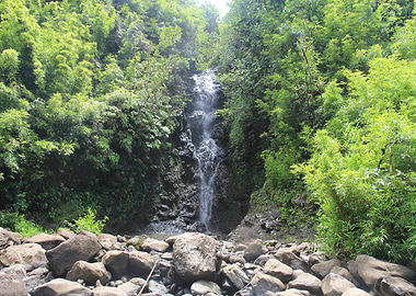 Waterfall Jungle Hawaii