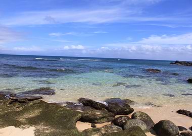 Hawaii Beach Clear Water