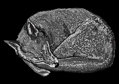 Sleeping Fox