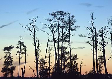 Sunset at Blackwater #3