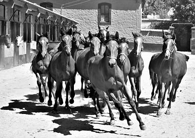 we are not scared of you !