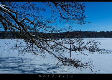 Norvikken Winter Landscapes 2017 4