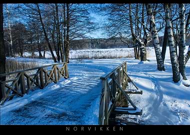Norvikken Winter Landscapes 2017 16