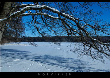 Norvikken Winter Landscapes 2017 6