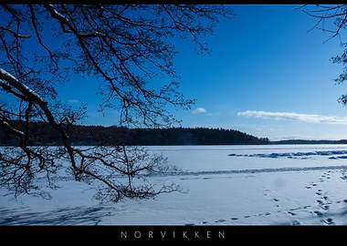 Norvikken Winter Landscapes 2017 3