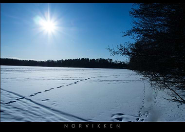 Norvikken Winter Landscape 2017 21