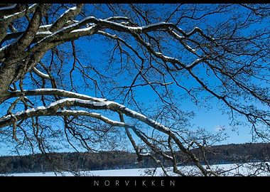 Norvikken Winter Landscapes 2017 9