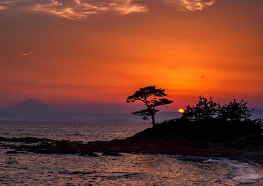 Sunset at Tateishi park