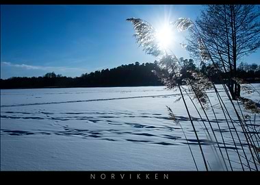 Norvikken Winter Landscape 2017 37