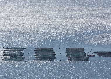 fish farms