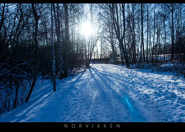 Norvikken Winter Landscape 2017 55