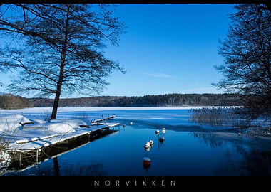 Norvikken Winter Landscape 2017 57