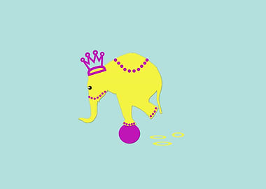Elephant in the circus