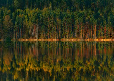 team relax - sleeping silence