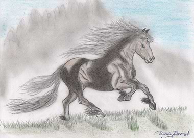 Horse and the prairie