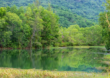 Green Focus Clear mind.