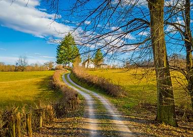 Forest road and cottage