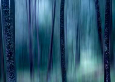 Blue Forest