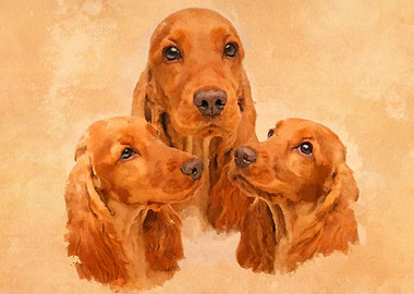 English Cocker Spaniel