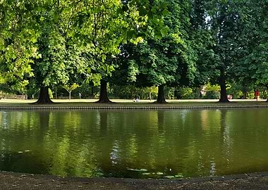 Bedford Lake Treeline