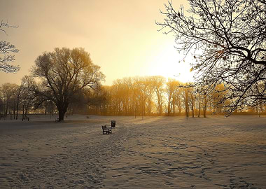 Dreamy Winter Morning