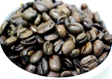 Coffee Beans
