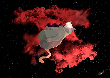 Celestial Body Cat