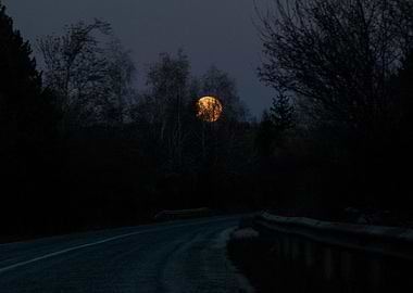 Hiding Blood Moon II