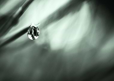 Abstract droplet