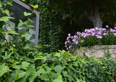 A lantern in the flowers