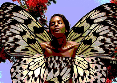 Butterfly Girls Dreams1