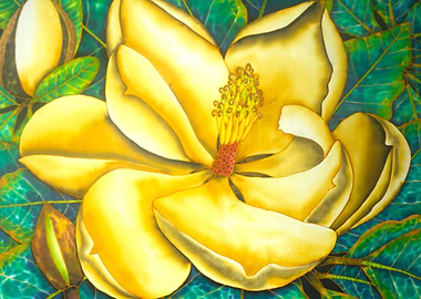 Southern Magnolia