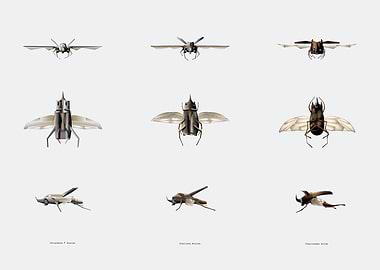 aircraft evolution phase 2