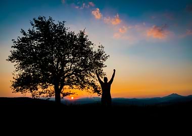 Joyful silhouette sunset
