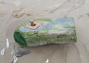 Drift Wood with Rusty Bolt