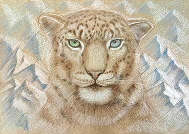 Snow Leopard