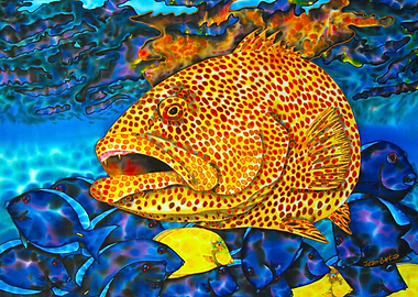 Tiger Grouper