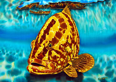 Nassau Grouper