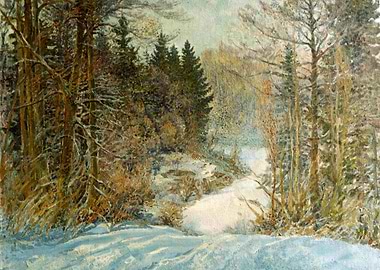 Winter forest near Manor K