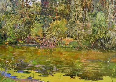 Perfect time on the pond