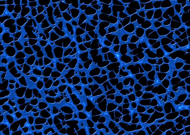 blue mettalic liquid back