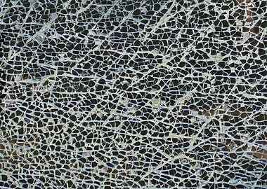 Exploded flesh and blood